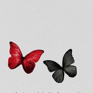 Meet your Posher, Destiny